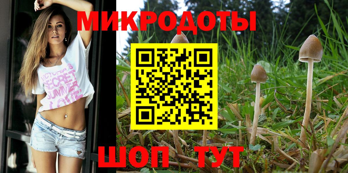 Псилоцибиновые грибы мицелий Кинель